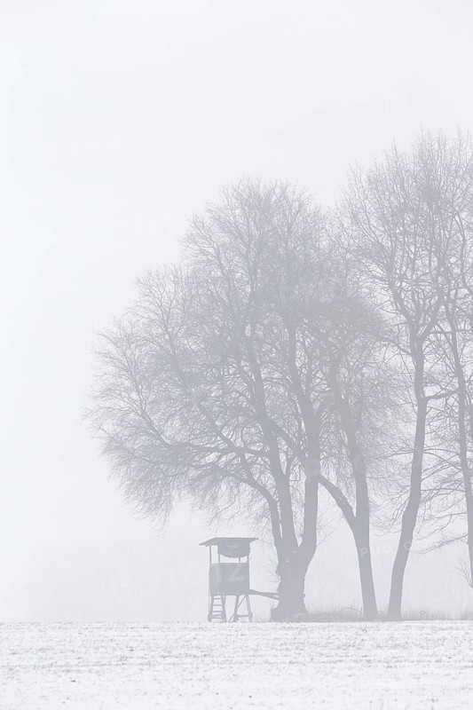 Raised hide under tree in snow covered field in the mist in winter