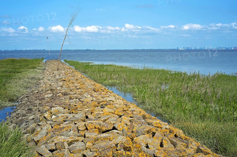 Fedderwardersiel in the Wesermarsch district Weser estuary at high tide in the background the Bremerhaven river quay Embankment