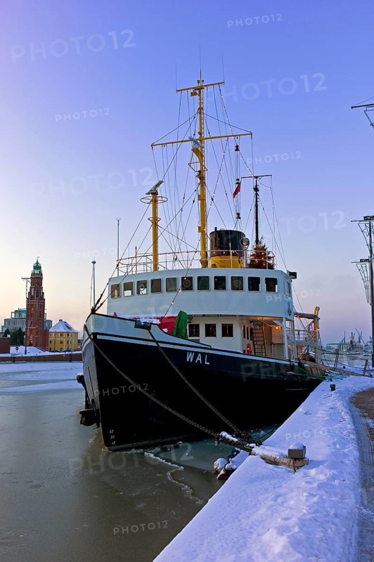 Steam icebreaker Whale