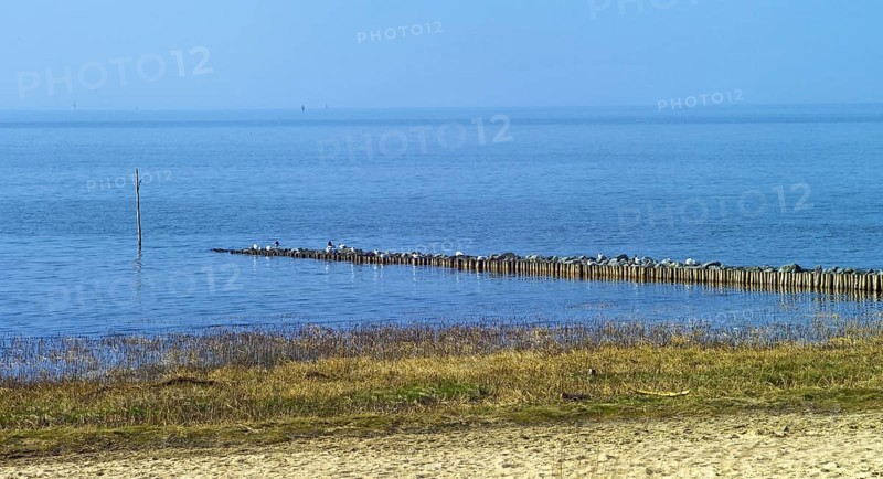 Groyne on the North Sea coast in Cuxhaven Sahlenburg