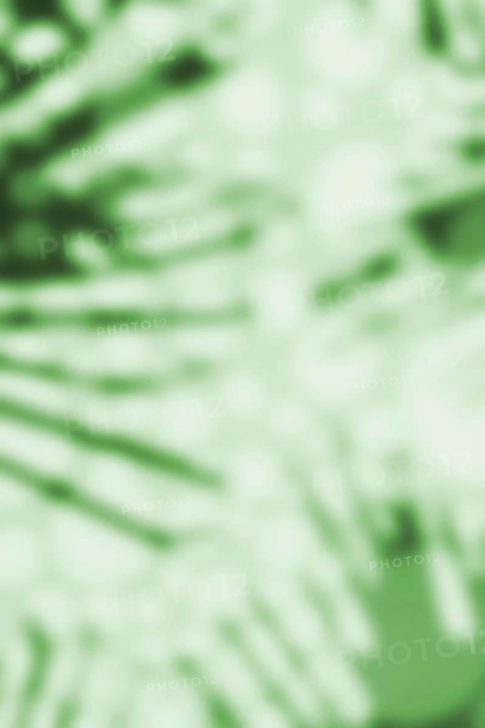 Abstract vertical green background with shade of palm leaves