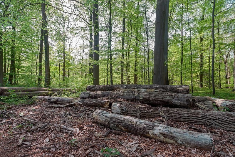 Waste wood