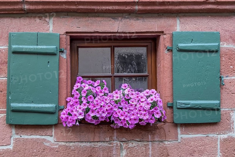 Small window with green shutters and with flower decoration