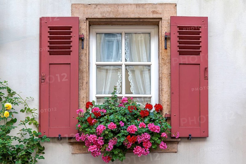 Muntin windows with red shutters