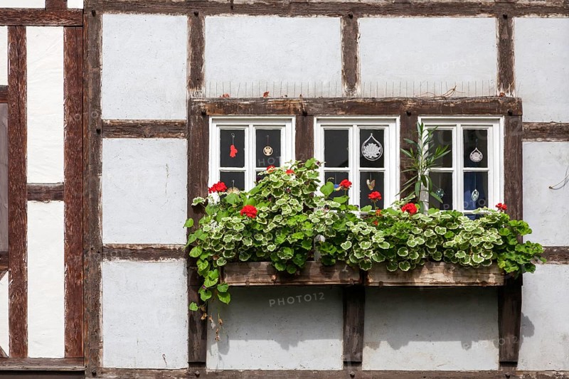 Window in a half-timbered house