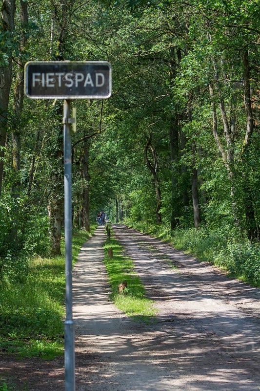 Witte Venn nature reserve