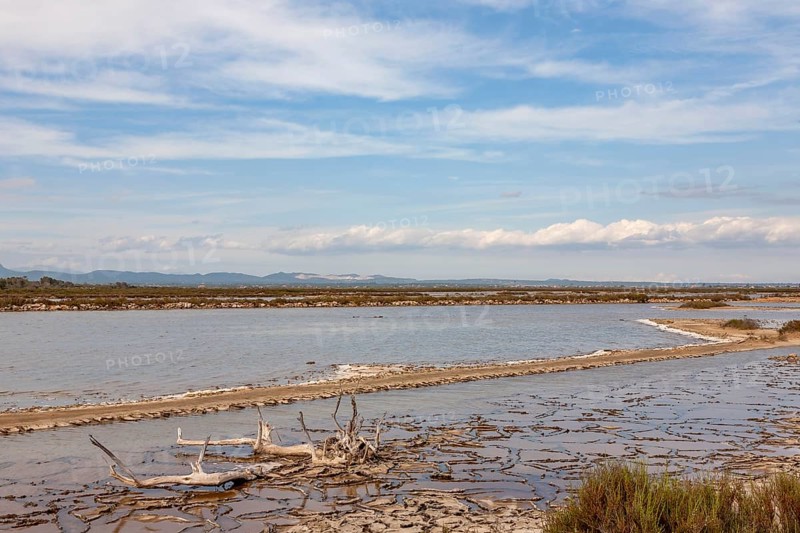 Salobrar de Campos nature park Park