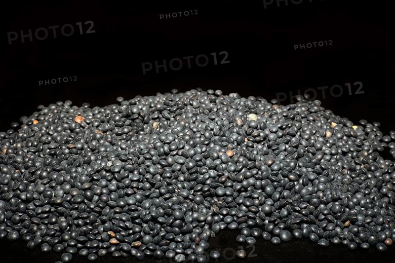 Beluga Lentils