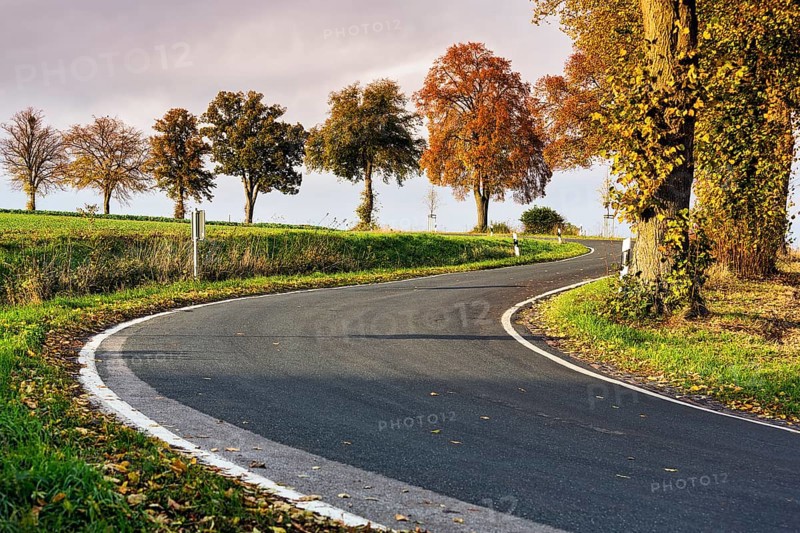 Winding road in autumn