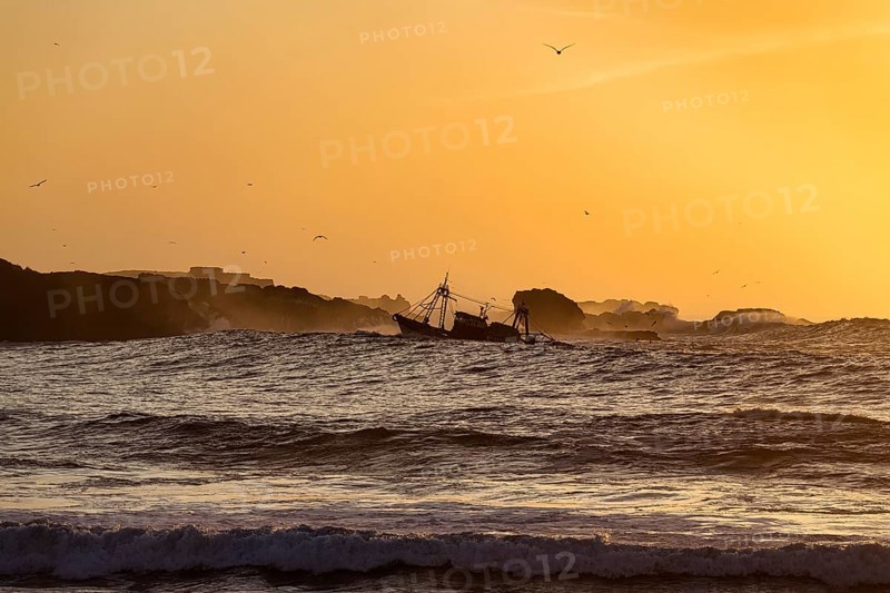 Fishing boat with seagulls between high waves