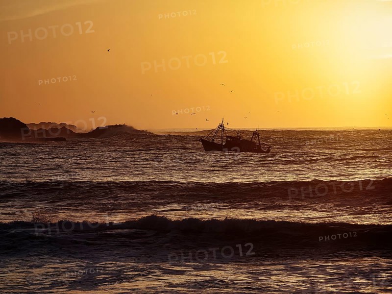 Fishing boat with seagulls