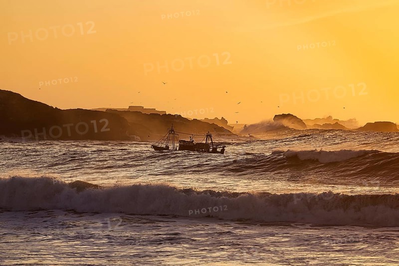 Fishing boat with seagulls between high waves