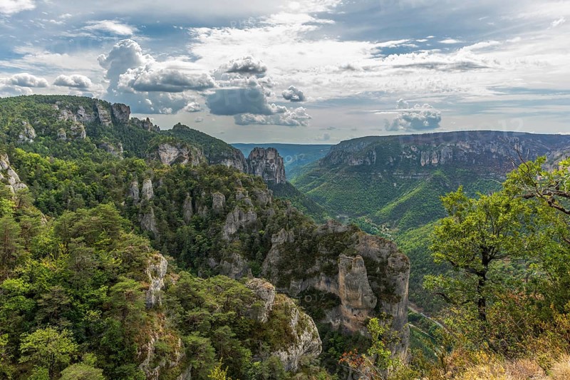 Gorges of Tarn seen from the hiking trail on the rocky outcrops of Causse Mejean above the Tarn Gorge. La bourgarie