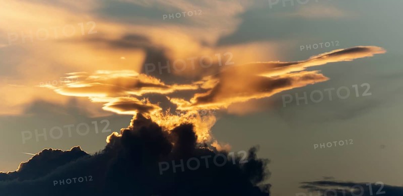 Sky of pink and orange clouds in the evening at sunset. Alsace