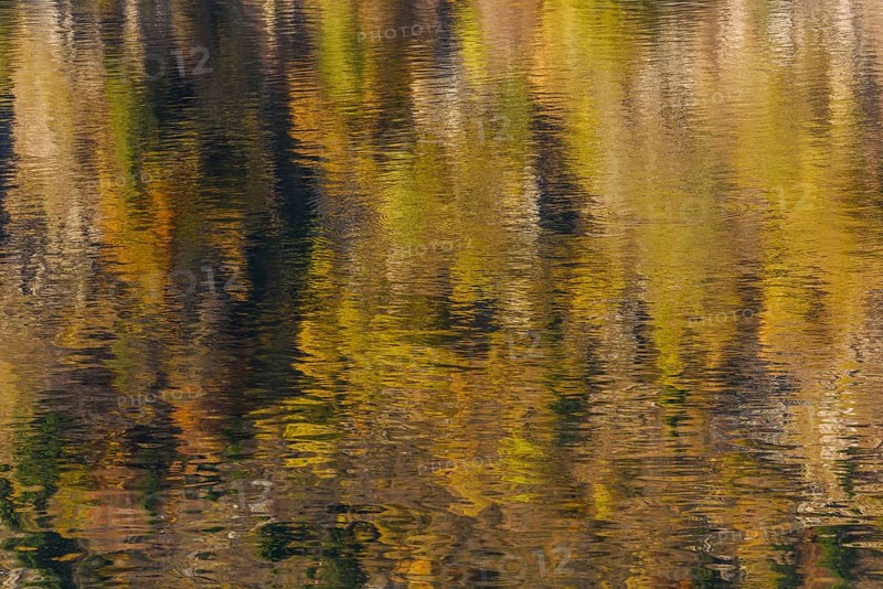 Reflections of trees in the mountain lake on a beautiful autumn day. White Lake
