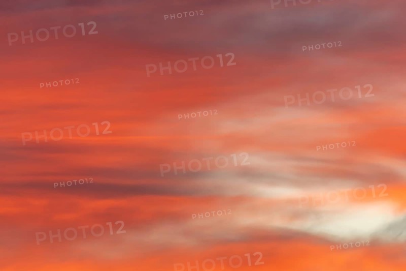 Sky of pink and orange clouds in the evening at sunset. Alsace