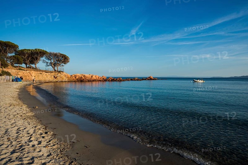 Beach and pines