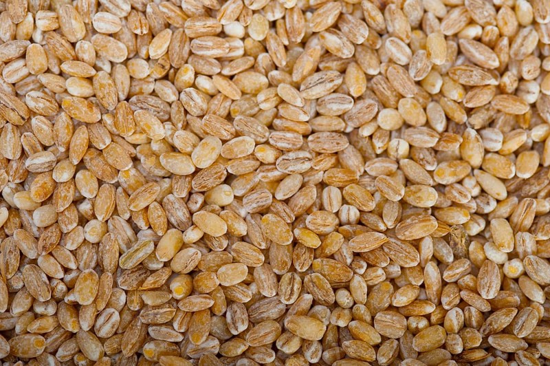 Organic barley grains over rustic wood table macro closeup