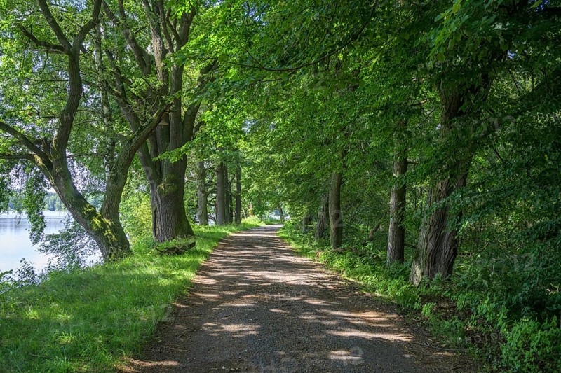Cycle path past the fish ponds to