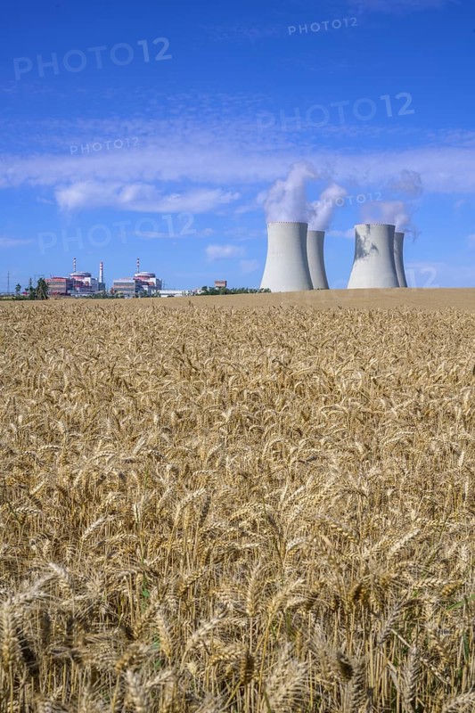 Grain field and cooling towers of the nuclear power plant