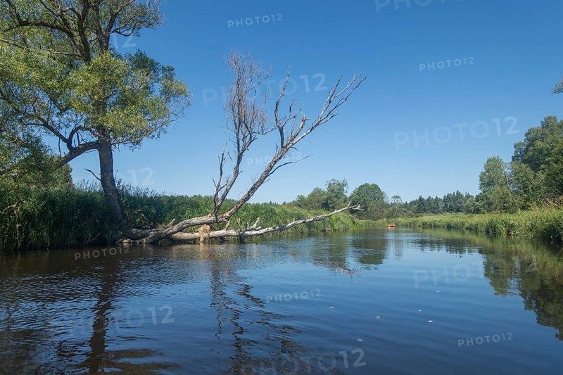 View of the Vltava from a canoe
