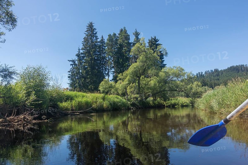 View of the Vltava from a canoe