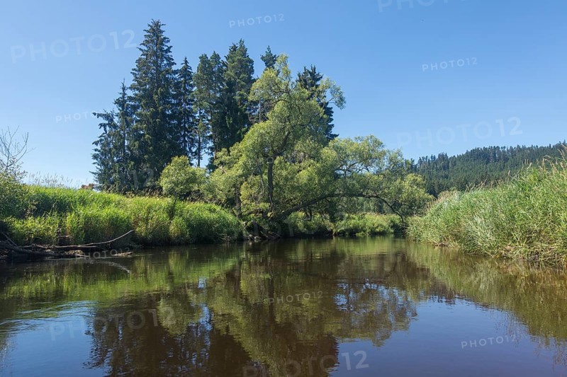 View of the Vltava from a canoe