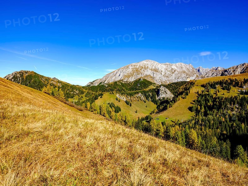 High board above autumnal mountain forest