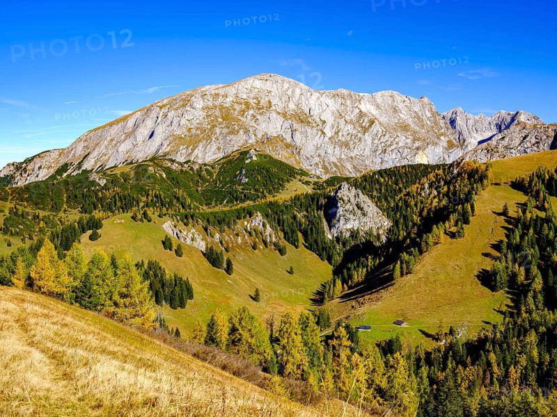 High board above autumnal mountain forest