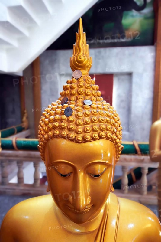 Buddha statue with coins as donation