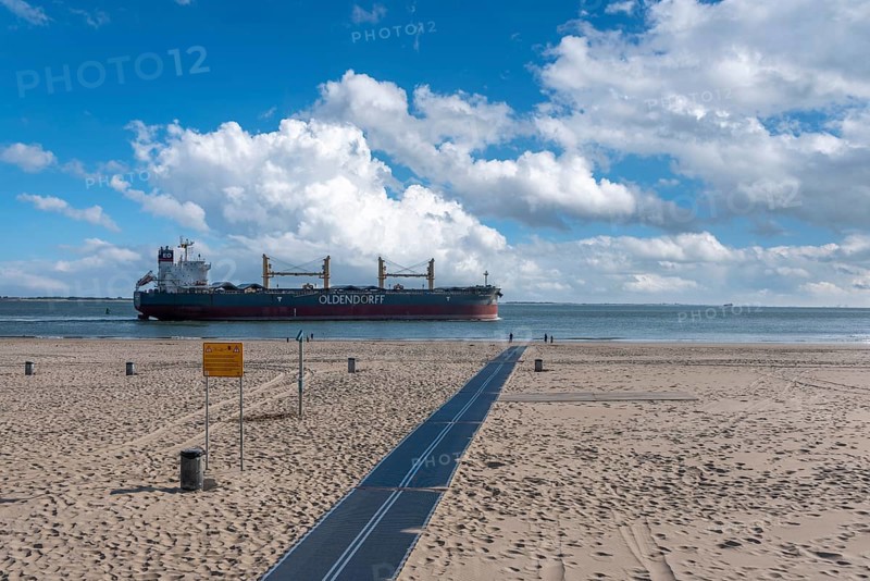Cargo ship cruising in front of the beach at Boulevard Evertsen