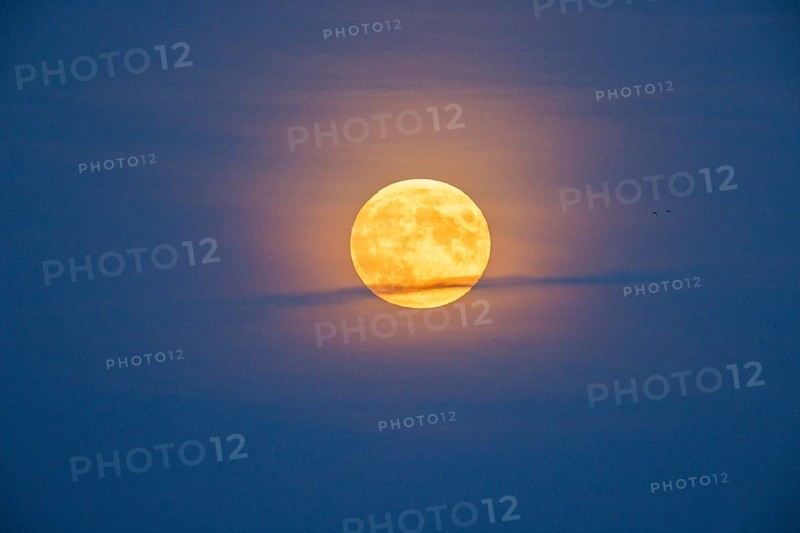 Moonrise