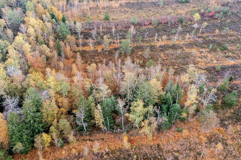 Autumn in the Kendlmuehlfilzen high moor