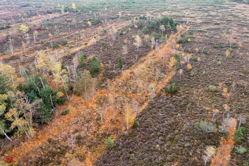 Autumn in the Kendlmuehlfilzen high moor