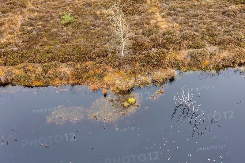 Autumn in the Kendlmuehlfilzen high moor