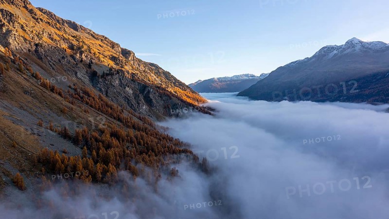 Piz Lagrev with colourful larches and fog in autumn