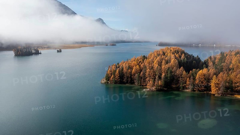 Lake Sils with colourful larches and fog in autumn