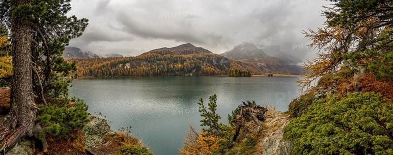 Lake Sils with colourful larches in autumn