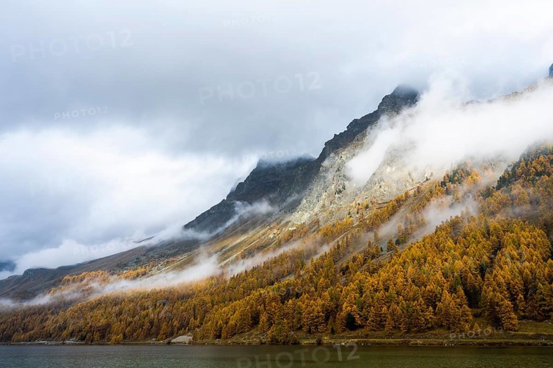 Lake Sils with colourful larches in autumn