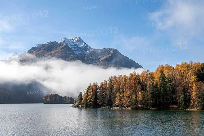 Lake Sils with colourful larches and fog in autumn
