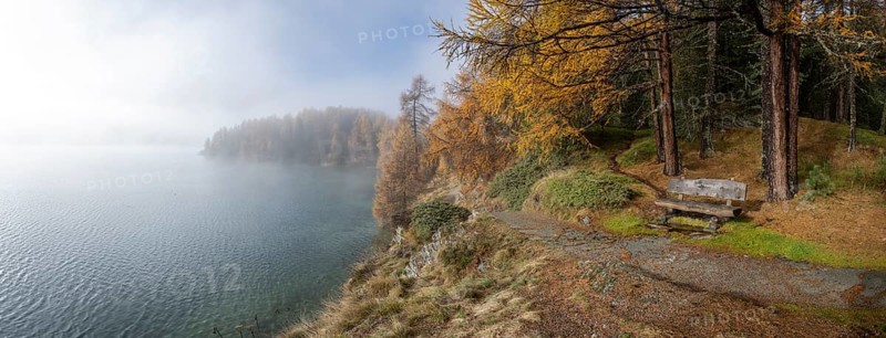 Lake Sils with colourful larches and fog in autumn