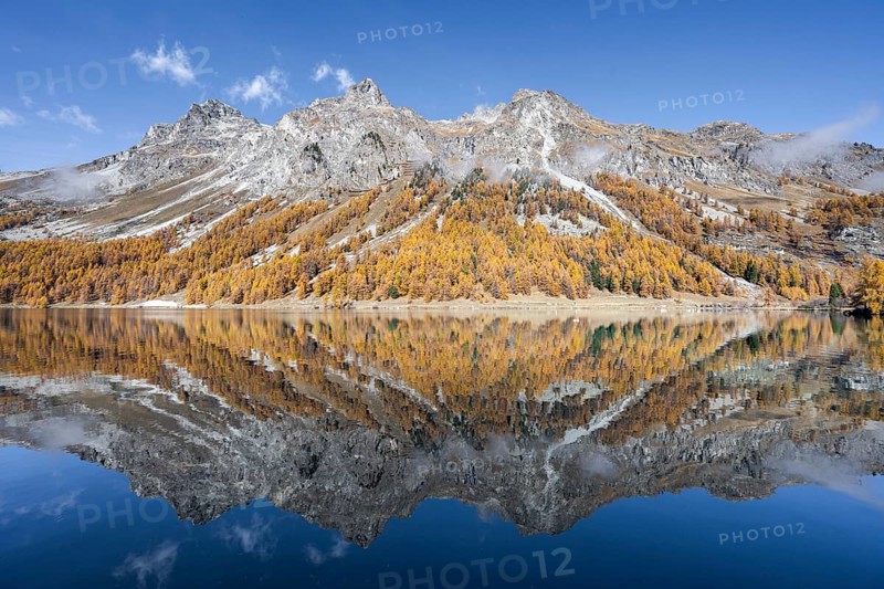 Piz Lagrev reflected in Lake Sils in autumn