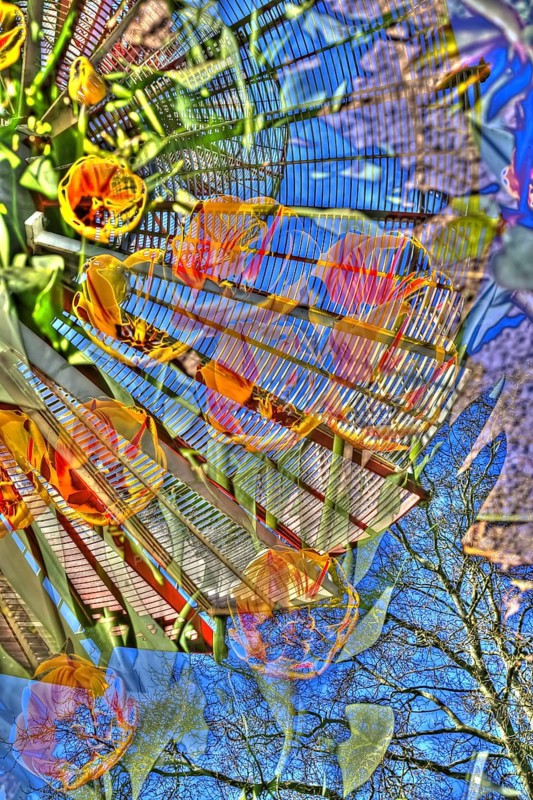 Flowers creative