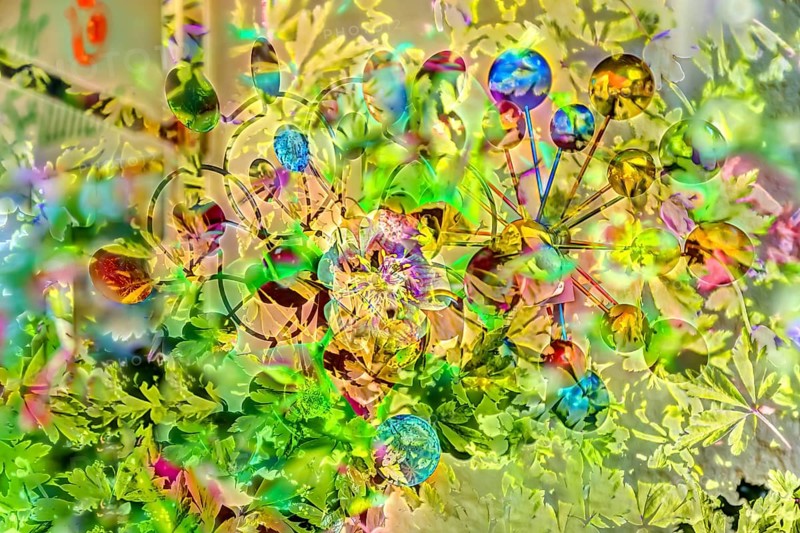 Flowers creative