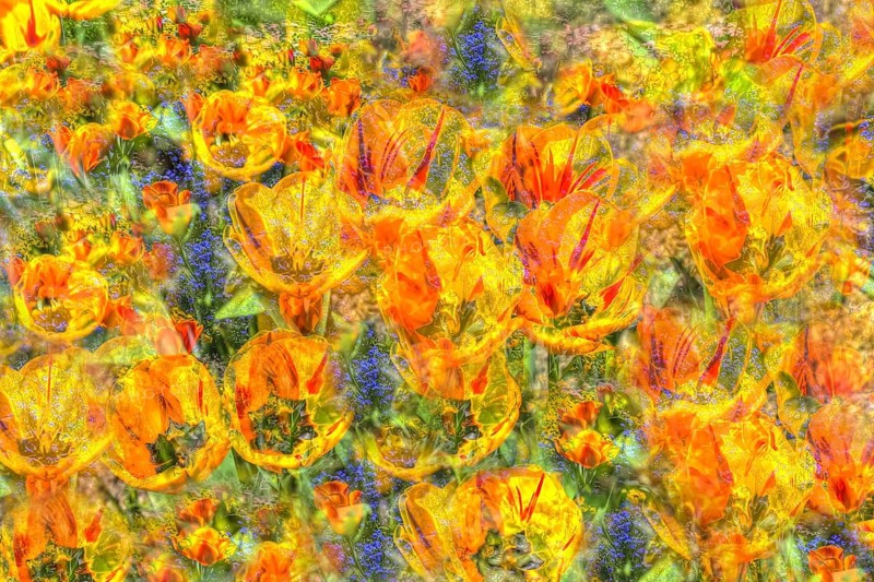 Flowers creative