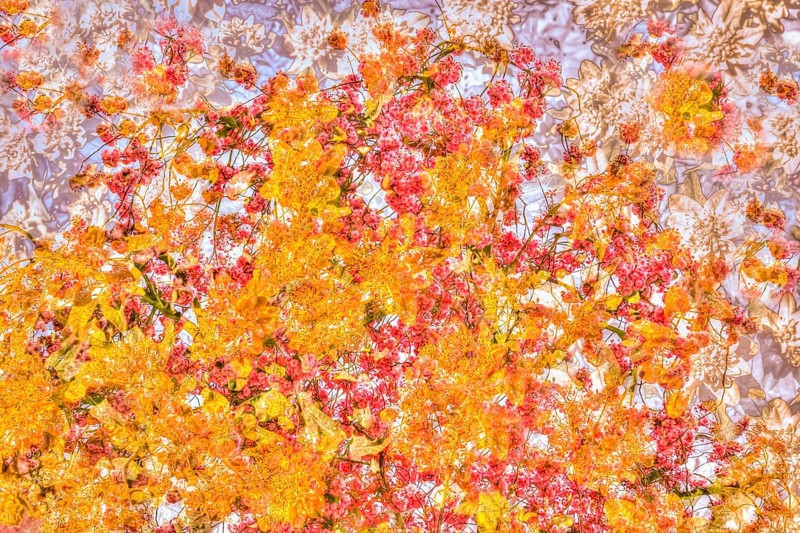 Flowers creative