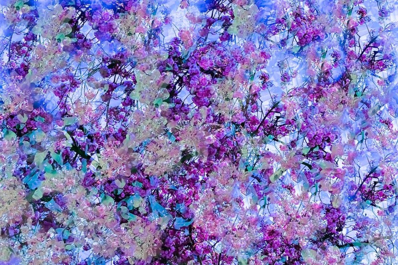 Flowers creative