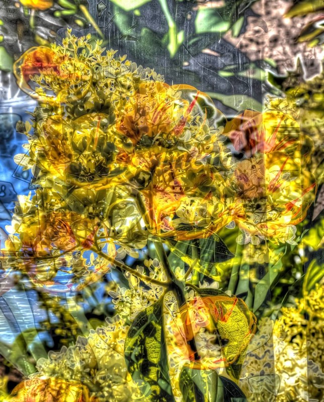 Flowers creative