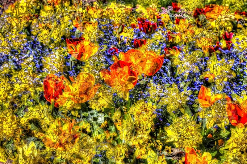 Flowers creative