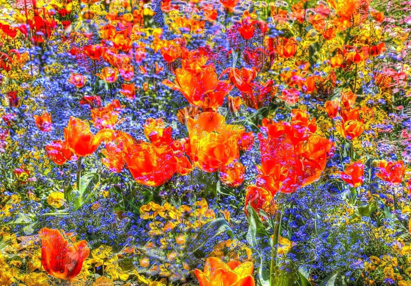 Flowers creative